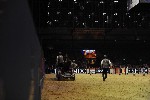 Extreme - 00822